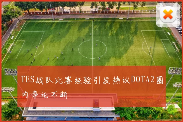 TES战队比赛经验引发热议DOTA2圈内争论不断