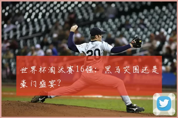 世界杯淘汰赛16强:黑马突围还是豪门盛宴?