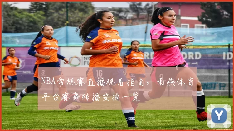 NBA常规赛直播观看指南，雨燕体育平台赛事转播安排一览