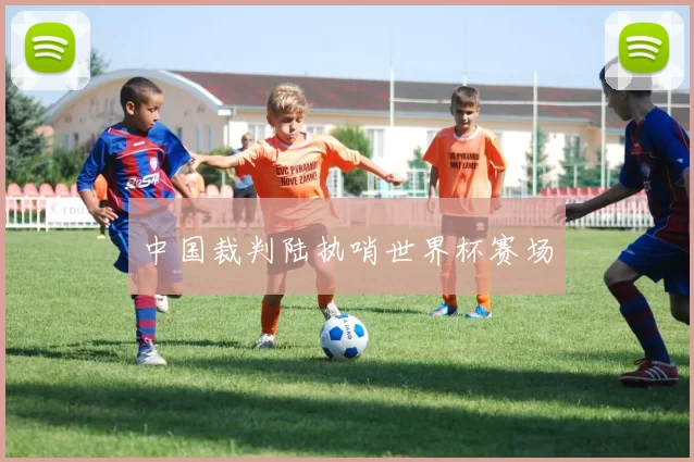 中国裁判陆执哨世界杯赛场