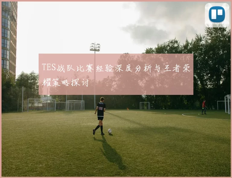 TES战队比赛经验深度分析与王者荣耀策略探讨