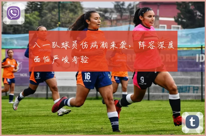 八一队球员伤病潮来袭,阵容深度面临严峻考验