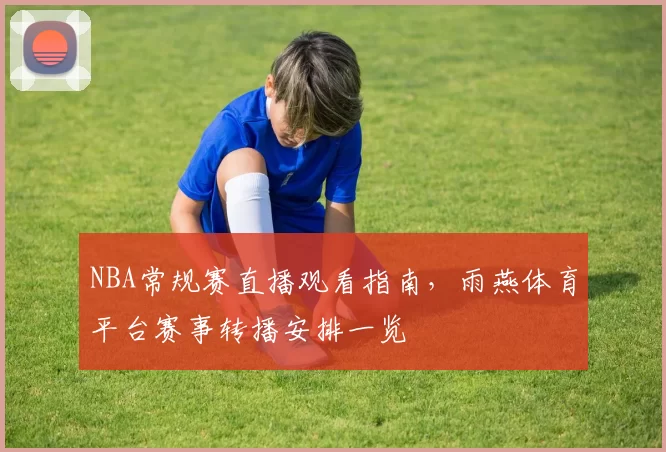 NBA常规赛直播观看指南,雨燕体育平台赛事转播安排一览