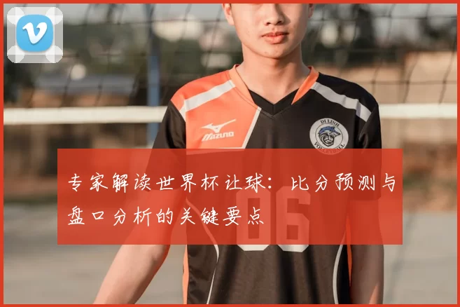 专家解读世界杯让球:比分预测与盘口分析的关键要点