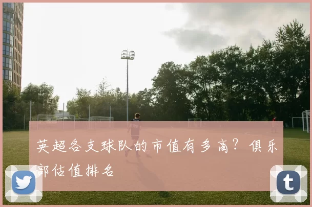 英超各支球队的市值有多高?俱乐部估值排名